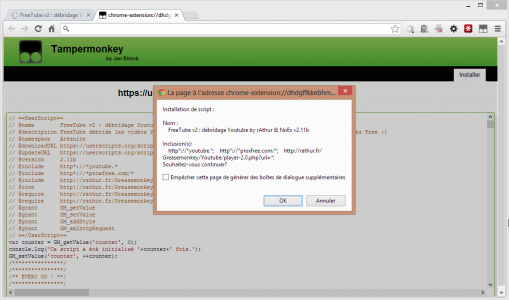 confirmation-installation-freetube-google-chrome