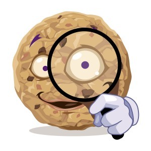 pourquoi-proteger-sa-vie-privee-sur-internet-tracking-cookies