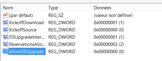 resoudre-echec-erreur-probleme-mise-a-jour-windows-10-sur-windows-update-nouvelle-valeur-allowosupgrade-dword