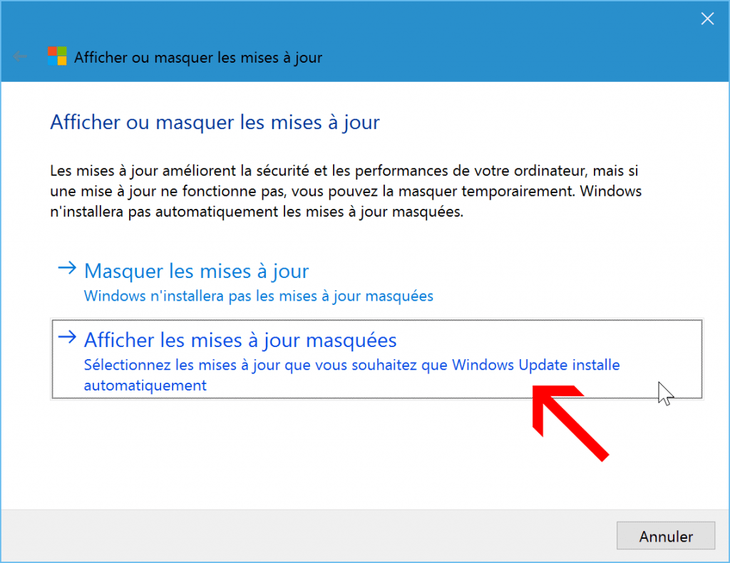 desactiver-empecher-cacher-une-mise-a-jour-windows-update-sur-windows-10-afficher-mises-a-jour-masquees