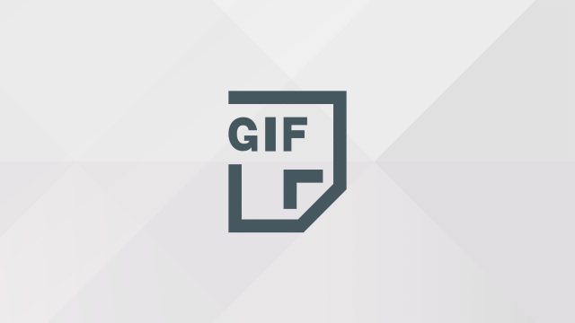 Créer un GIF animé avec Gifcam