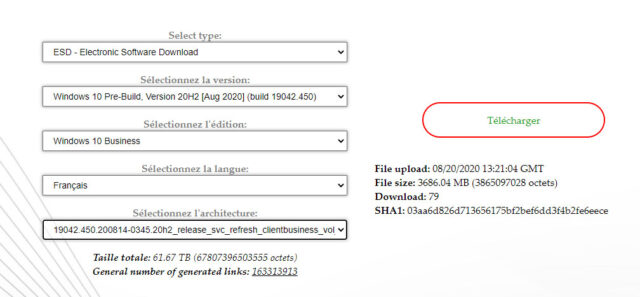 Win102009ESD