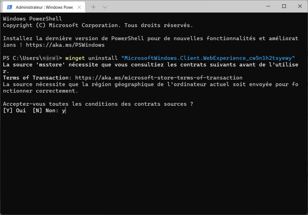 Widget Windows 11 taper Y pour oui