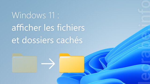 Windows 11 : afficher les fichiers et dossiers cachés