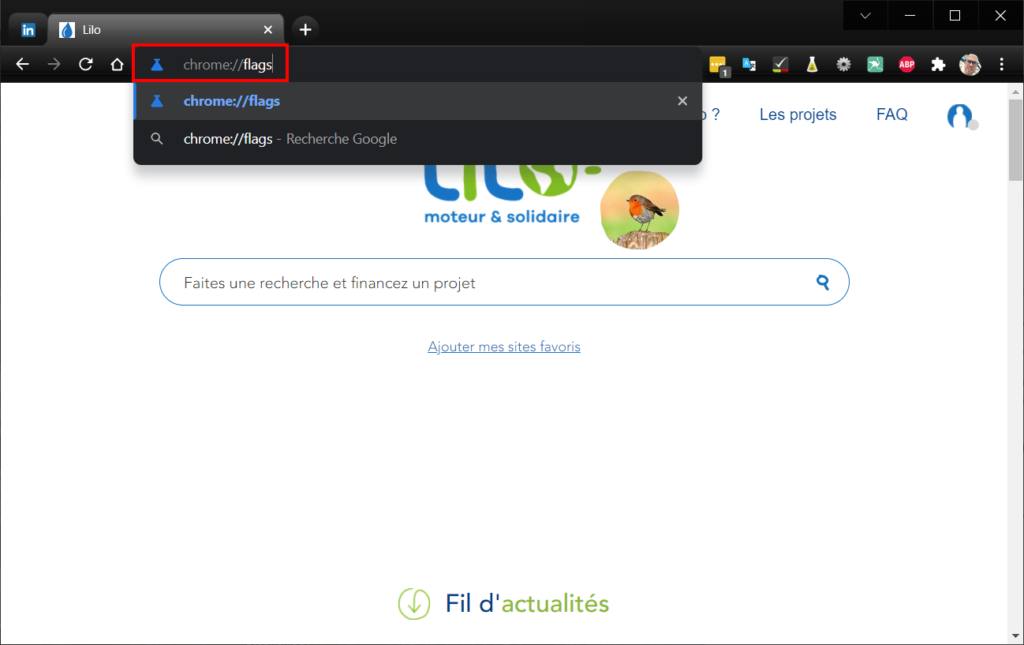 Chrome forcer sombre - chrome://flags