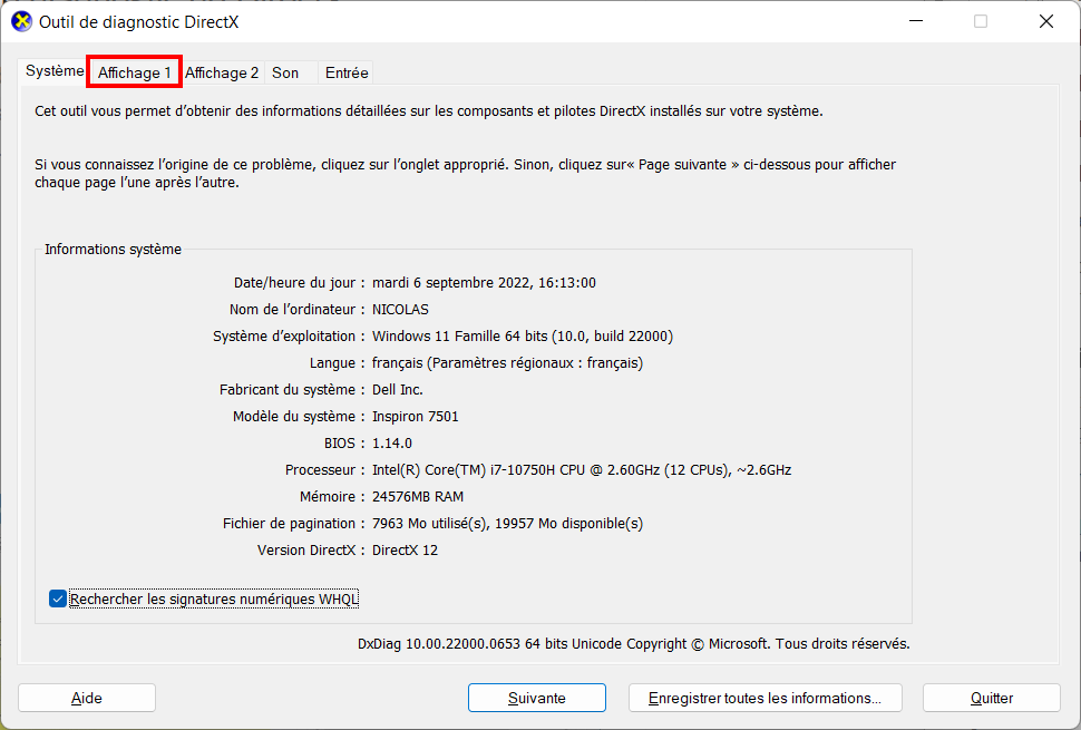 Connaître GPU Windows - DirectX Affichage 1