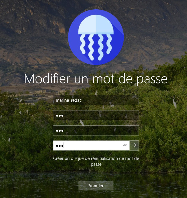 Formulaire pour modifier le mot de passe : nom d'utilisateur, ancien, puis nouveau mot de passe