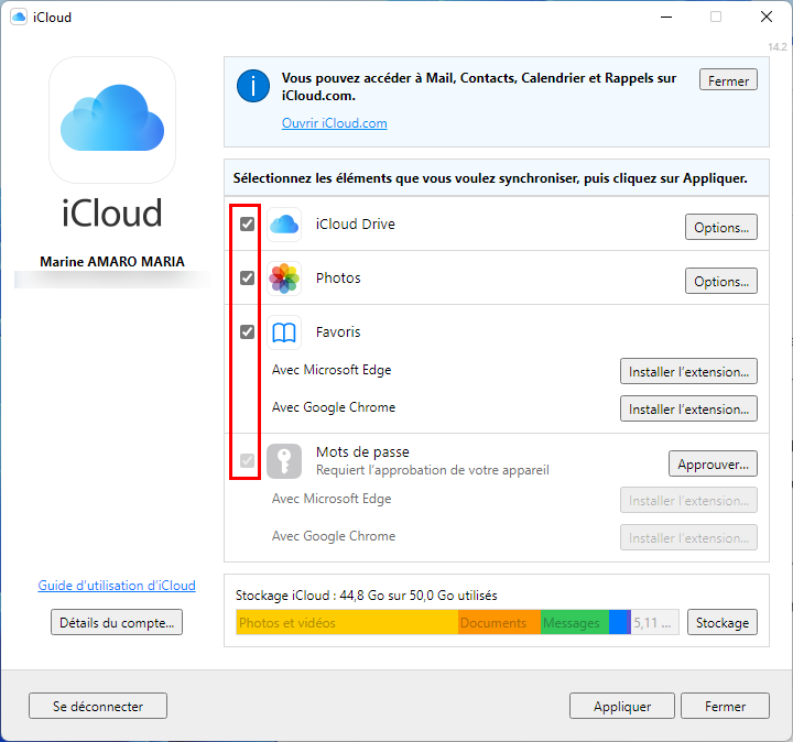 Cocher les éléments à synchroniser dans iCloud pour Windows
