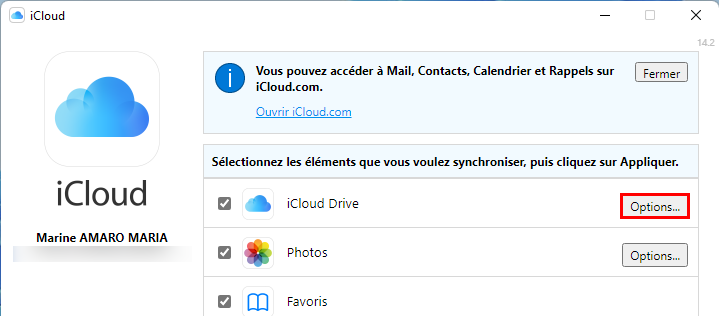 Accéder aux Options d'iCloud Drive sur Windows