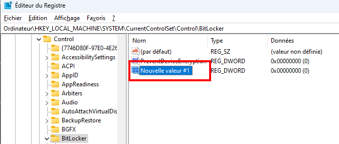 Désactiver BitLocker Windows 11 Dans Registre, nommer la valeur PreventDeviceEncryption