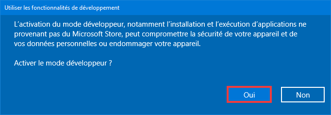 Installer Paint 11 sur Windows 10 valider mode développeur