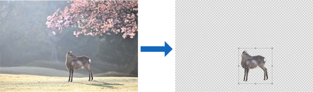Exemple de suppression d'arrière-plan sur Paint de Windows 11