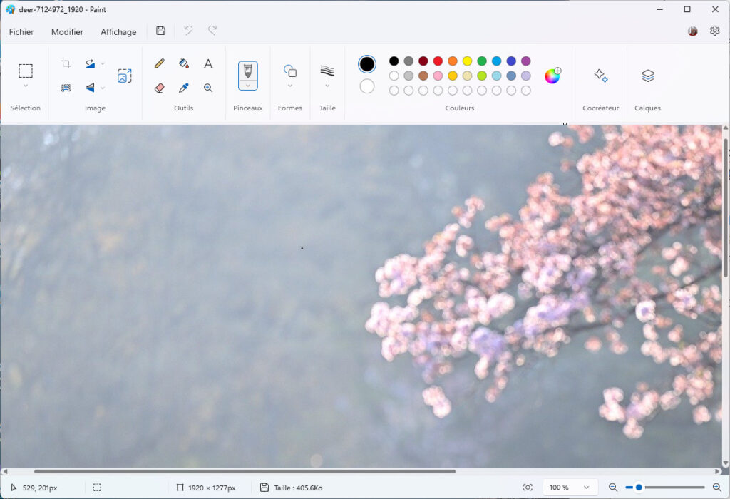Paint arrière-plan Image trop grande