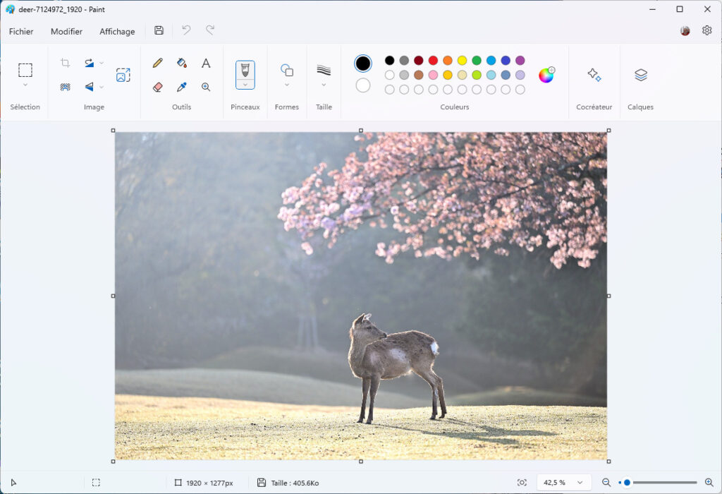 Paint arrière-plan Zoom arrière pour pleine image