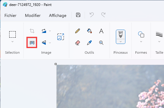 Paint arrière-plan Cliquer sur Supprimer arrière-plan