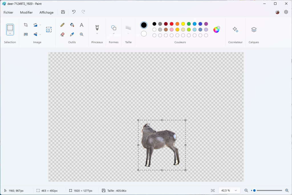 Paint arrière-plan Supprimé !