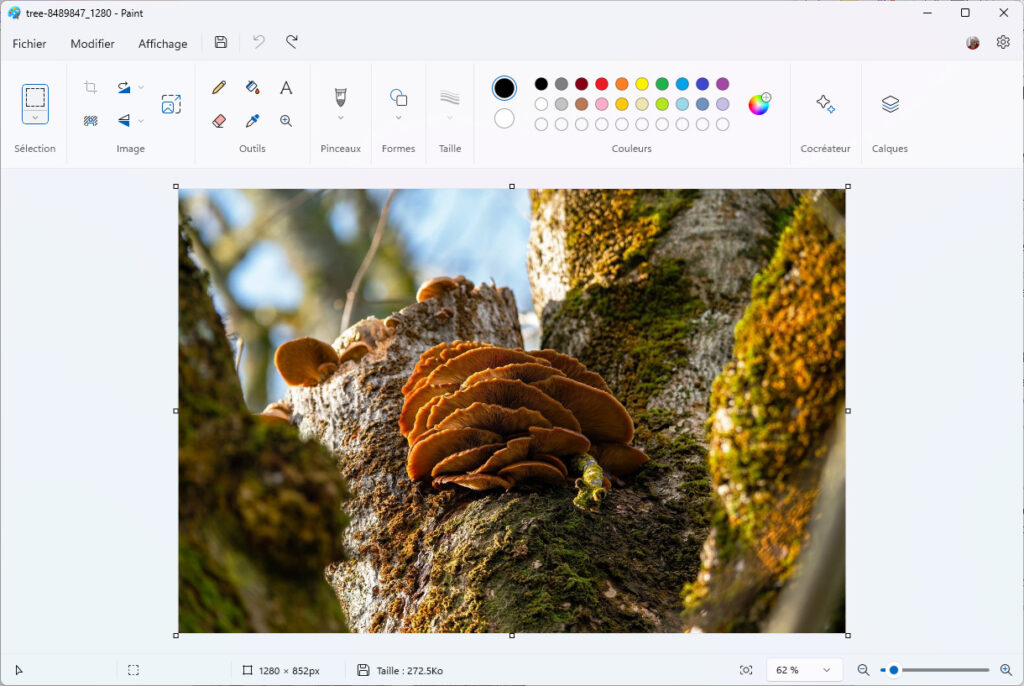 Paint arrière-plan Photo à travailler