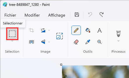 Paint arrière-plan Sélectionner pour détourer l'objet à garder