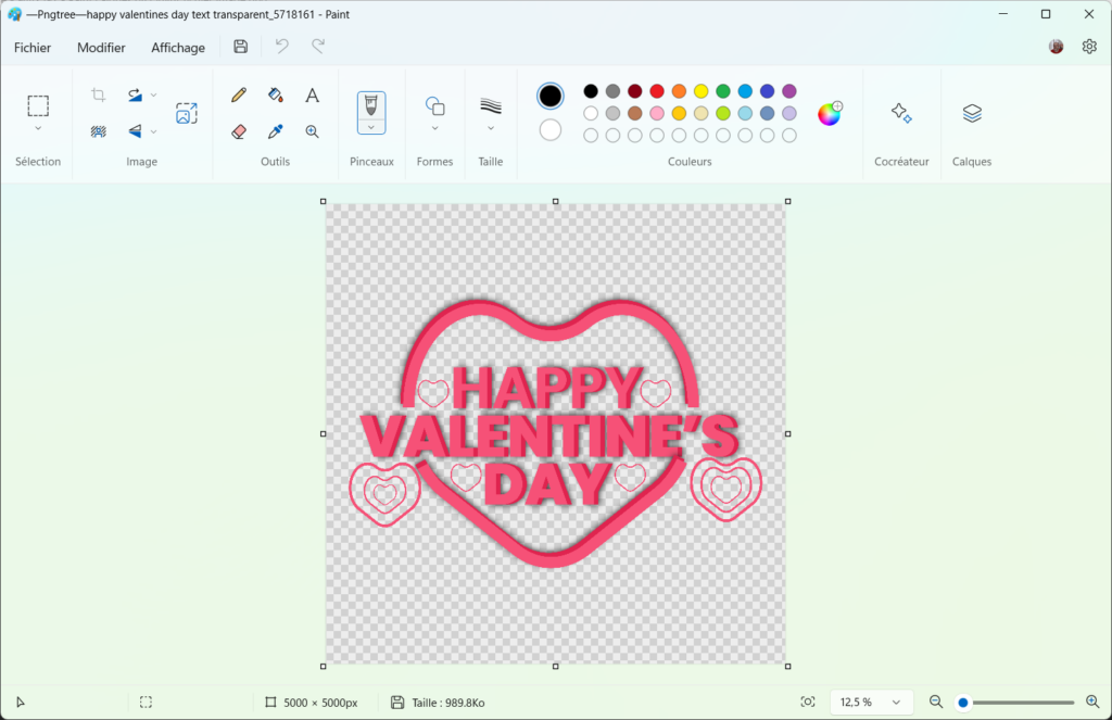 Image entière dans Paint
