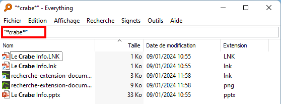 Everything - Faire une recherche avec l'asterisque