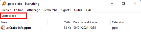 Everything - Faire une double recherche avec plusieurs informations sur le même document