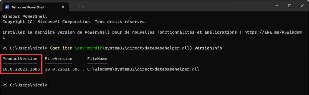 Quelle version DirectX Lecture de la version dans PowerShell Terminal