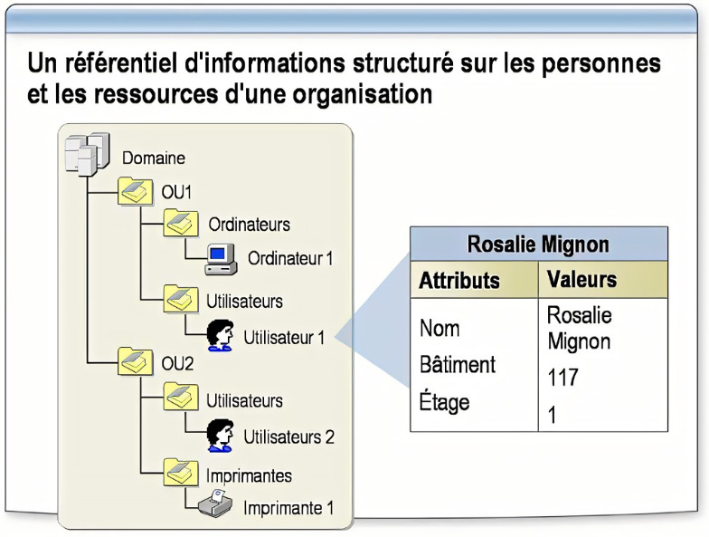 Utiliser Active Directory sur Windows 11 Pro