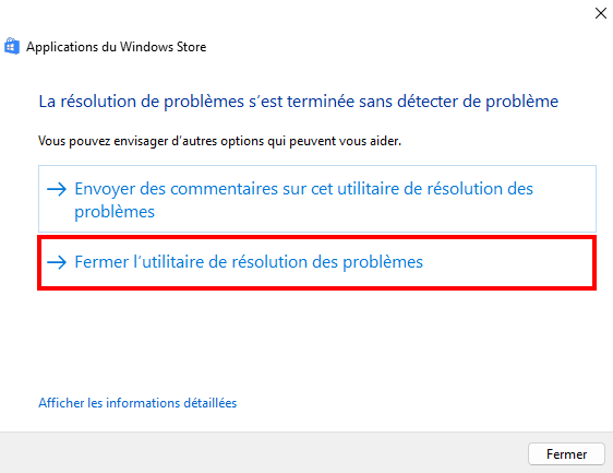 Corriger le téléchargement lent dans le Microsoft Store - Aucun problème détecté par le dépanneur de Microsoft Store