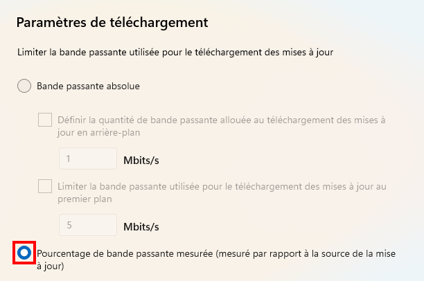 Corriger le téléchargement lent dans le Microsoft Store - Modifier les paramètres réseau de téléchargements