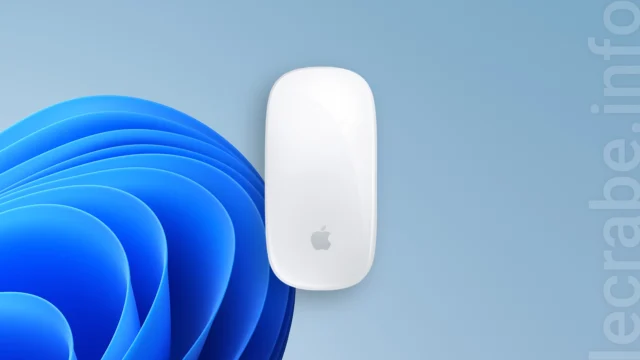 Comment utiliser la souris Magic Mouse sur un PC Windows ?