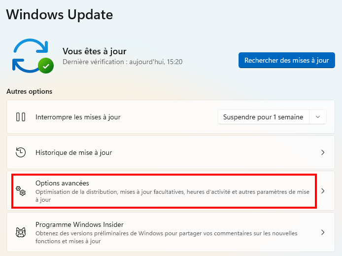 Corriger le téléchargement lent dans le Microsoft Store - Ouvrir les options avancées de Windows Update