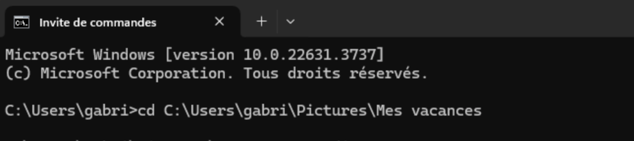 renommer plusieurs fichiers windows 11-invite de commande