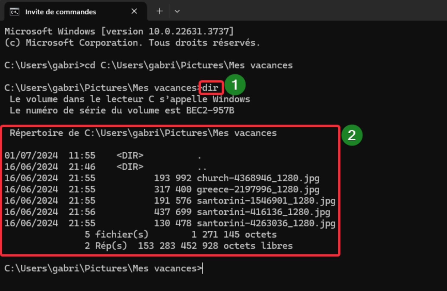 renommer plusieurs fichiers windows 11-lignes de commandes