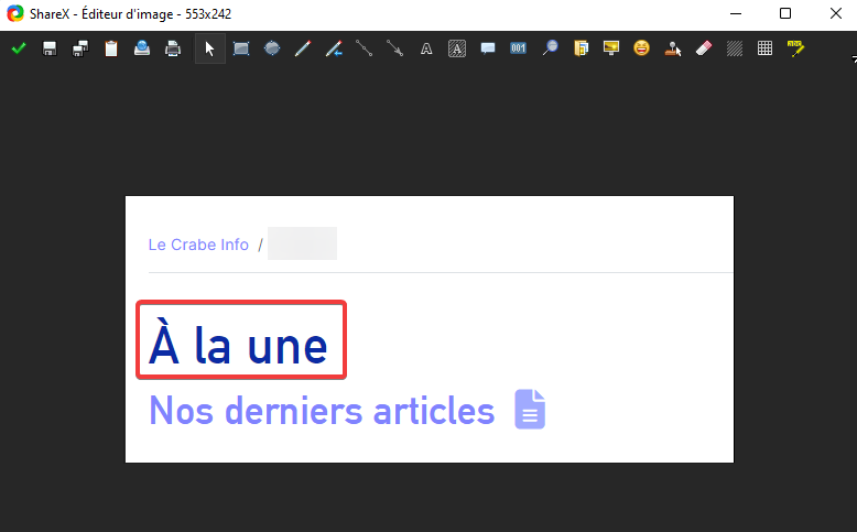 Faire une capture d’écran avec ShareX - Tracer un rectangle sur une image