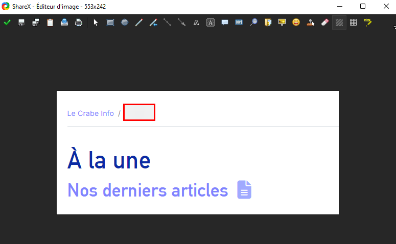 Faire une capture d’écran avec ShareX - Flouter une image sur ShareX