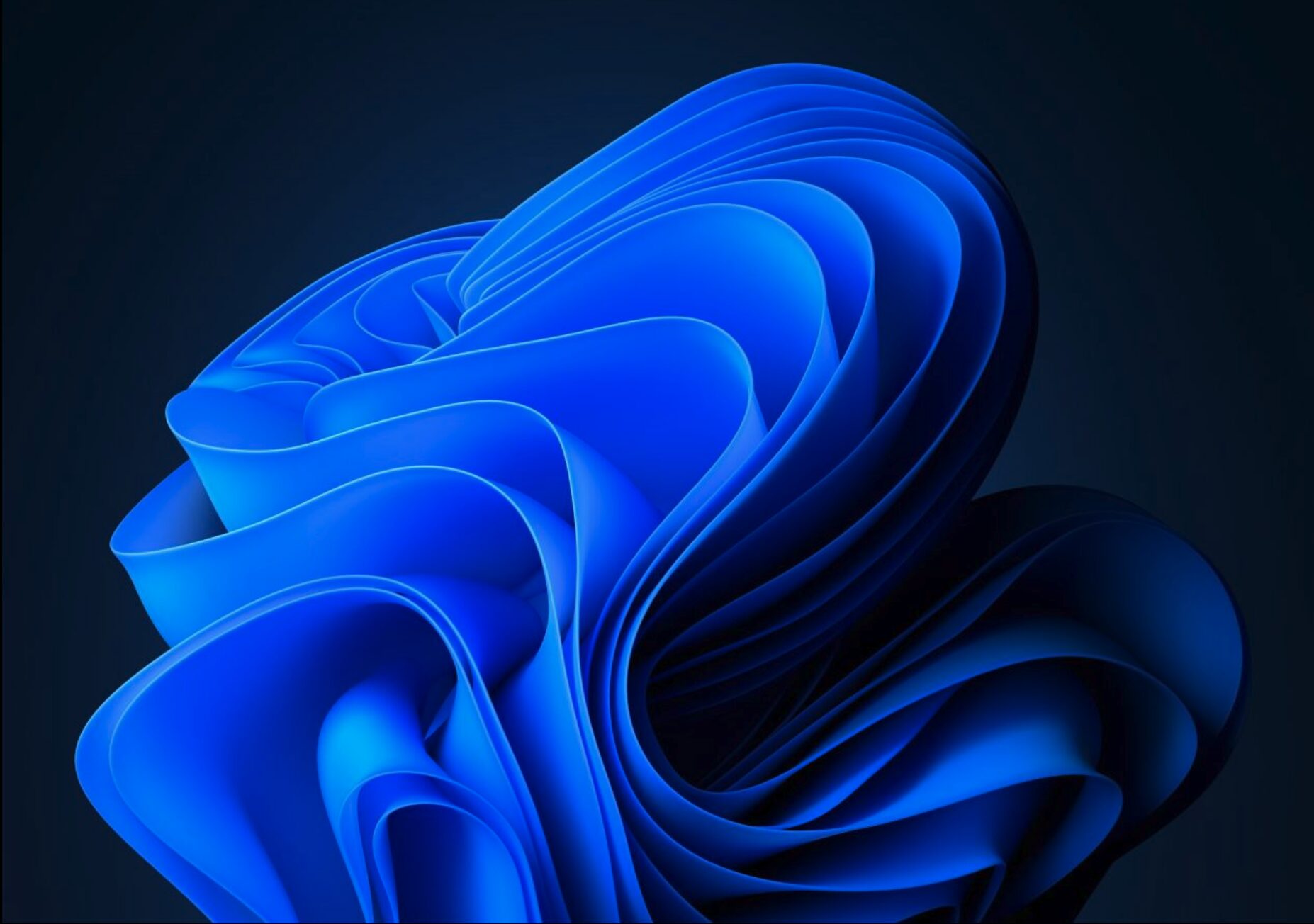 wallpaper windows 11-bloom