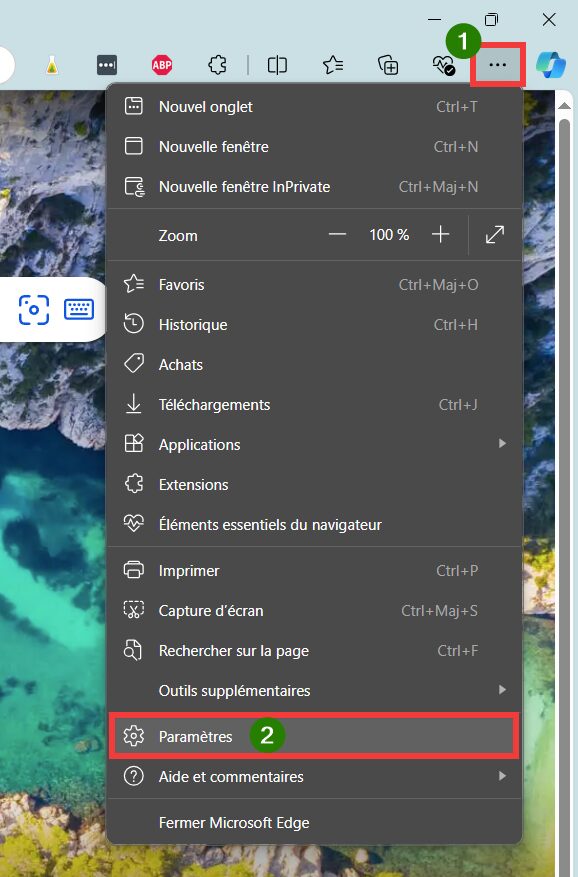 Vider cache Edge, aller dans Paramètres