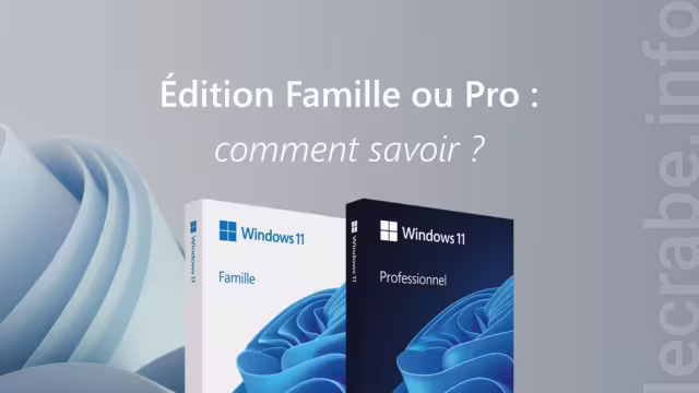 Windows 11 : édition Famille ou Professionnel, comment savoir ?