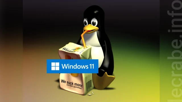 Guerre des OS : pourquoi Linux gagne du terrain sur Windows