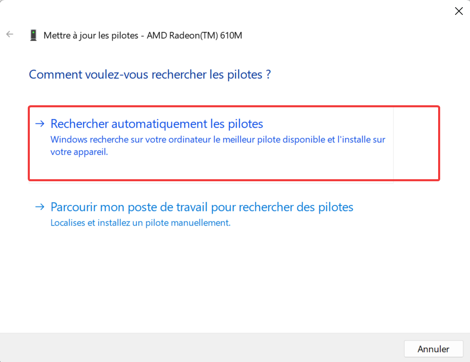 recherche automatique de mise à jour
