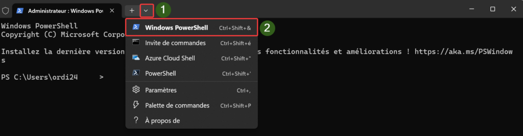 Selection de Windows powershell dans le Terminal