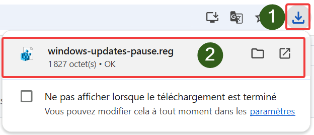 Fichier Windows update killer téléchargé