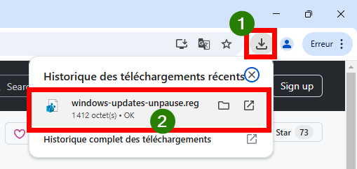 Fichier Windows-dates-unpause.reg dans l'historique de téléchargement