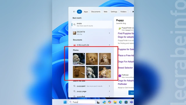 Windows 11 : la recherche d’images s’améliore avec une vue en grille et plus encore (Insider Preview)