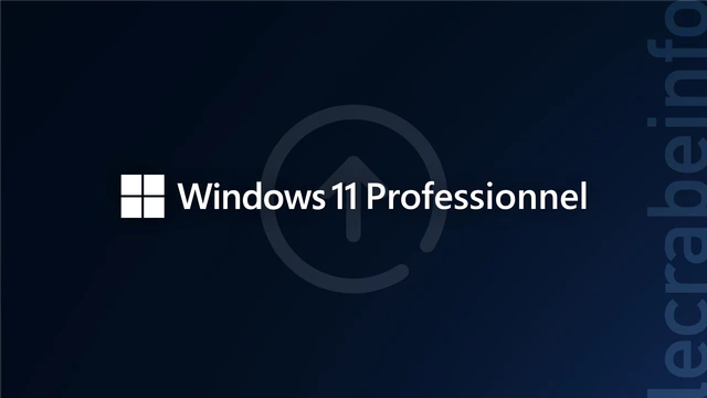 Comment passer de Windows 11 Famille à Professionnel ?