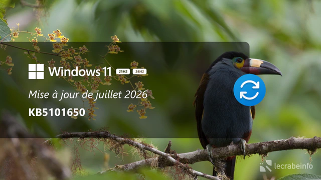 Windows 11 : la mise à jour de juillet 2026 est disponible (KB5101650), voici tout ce qu&rsquo;elle apporte